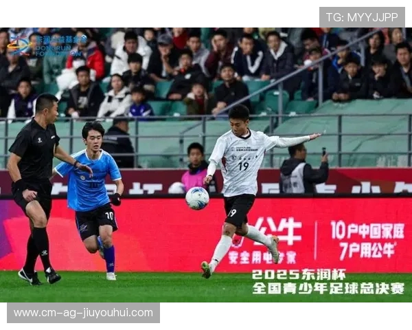 石家庄足球尝鲜价引领新潮流 助力城市体育文化发展与崛起