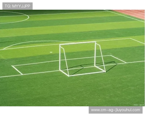 以90x90米足球场为核心规划的多功能运动休闲区设计方案探讨