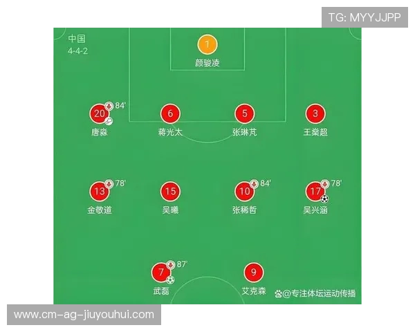 深入解析中国公众对国家队球员足球技术与精神表现的综合多维度看法